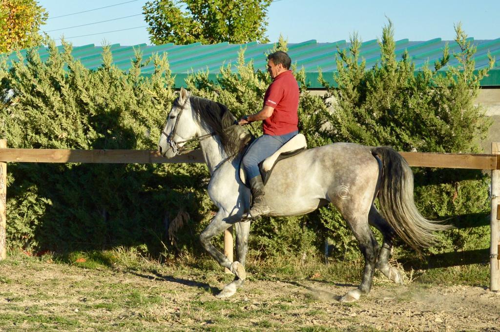 Rural Reillo Alojamientos Rurales Eksteriør billede